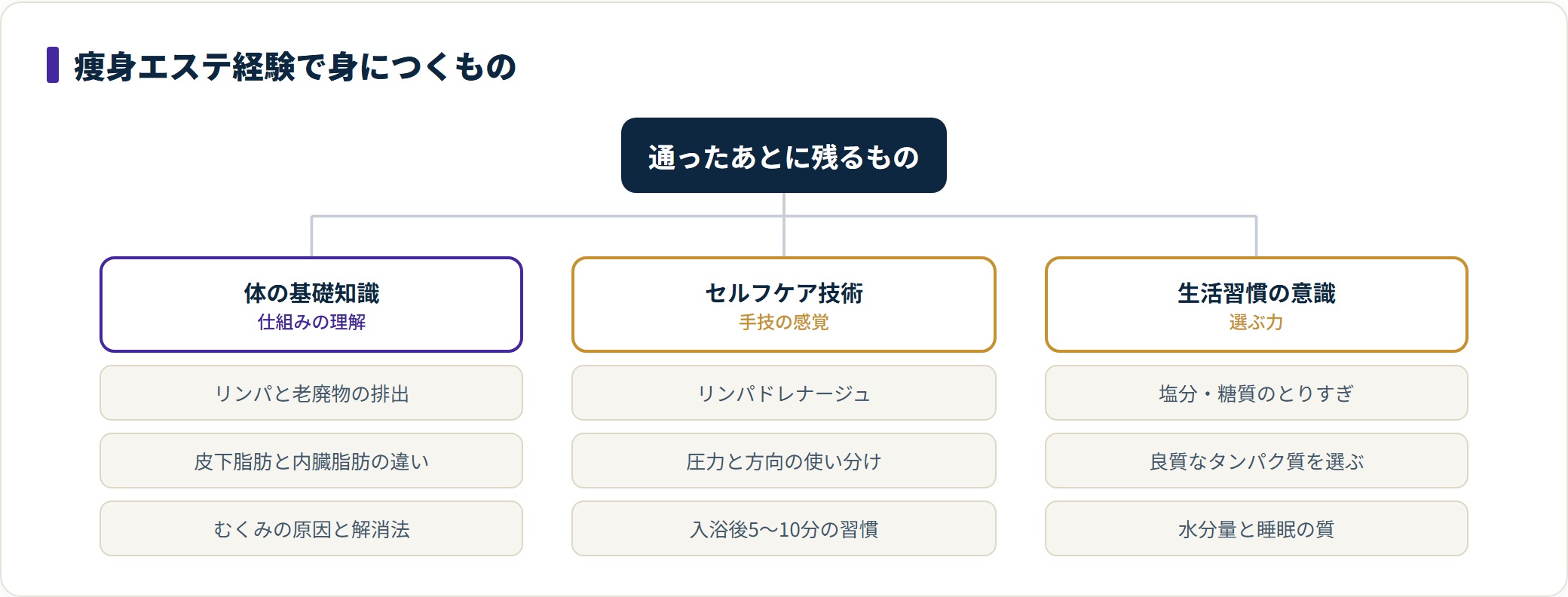 痩身エステの経験で身につくものを3領域に分類した図。リンパや脂肪に関する体の基礎知識、リンパドレナージュなどのセルフケア技術、塩分や睡眠を意識する生活習慣の3つに整理している。